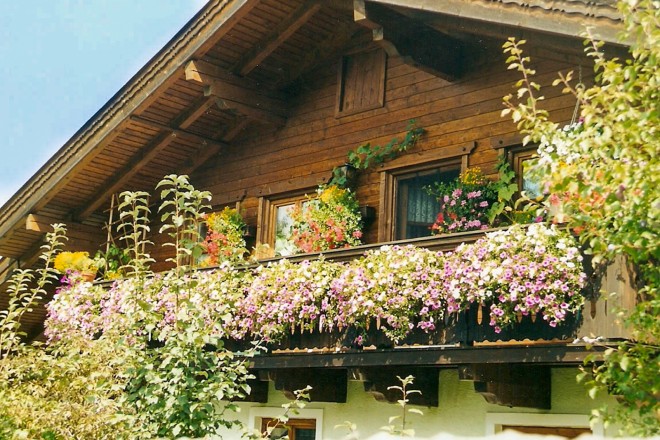 Foto - Balkon mit Blumen von Haus Jahn